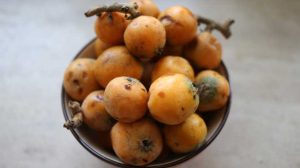 رب ازگیل