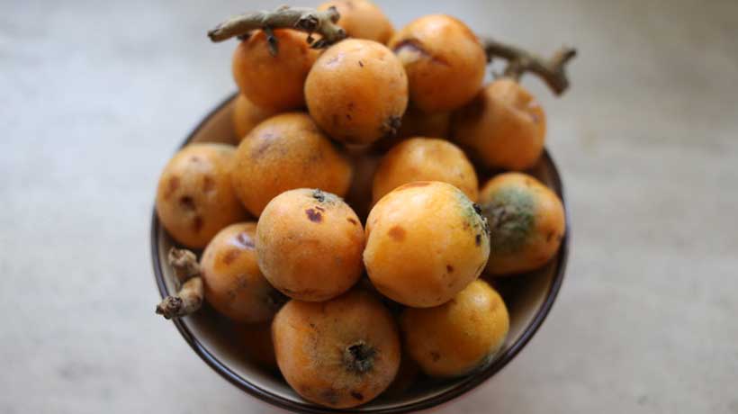 رب ازگیل